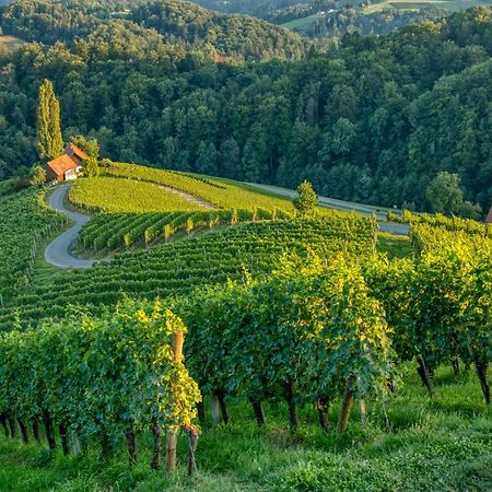 Turisticna Kmetija Dreisiebner Villa Spicnik Exteriör bild